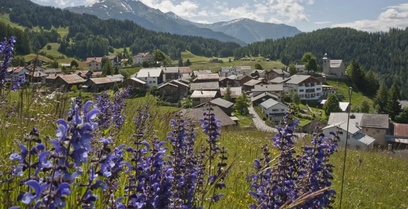 Mountain landscape in Feldis